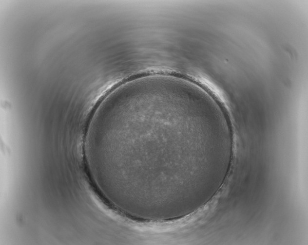 X0000091350009200708101539