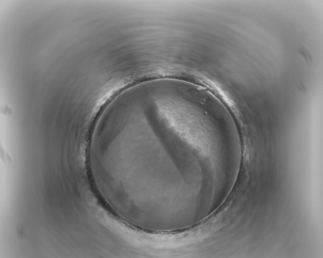 X0000091350010200708101539