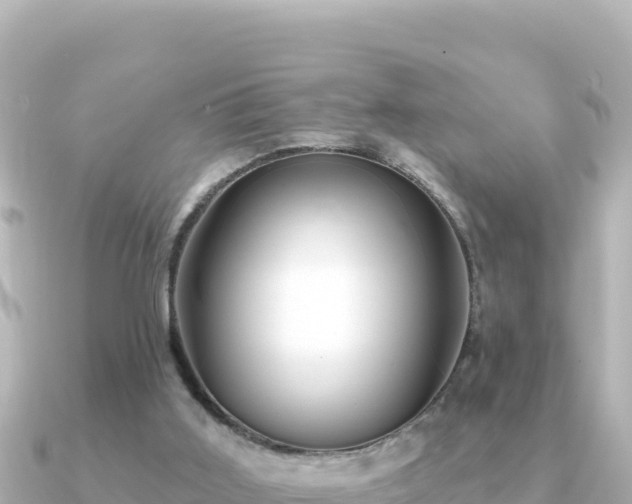 X0000091350011200708101539