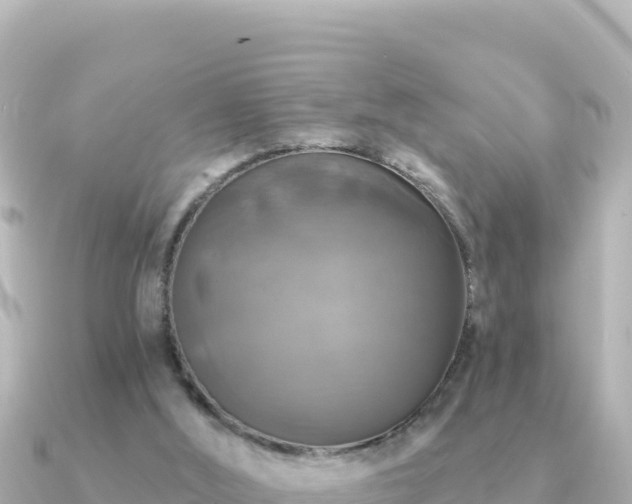 X0000091350012200708101539