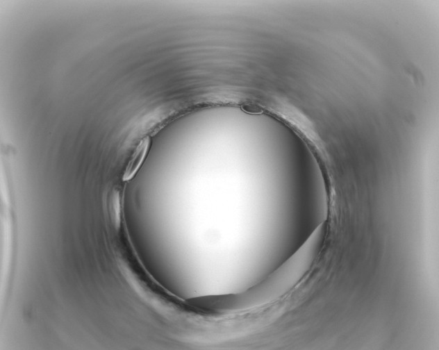 X0000091350013200708101539