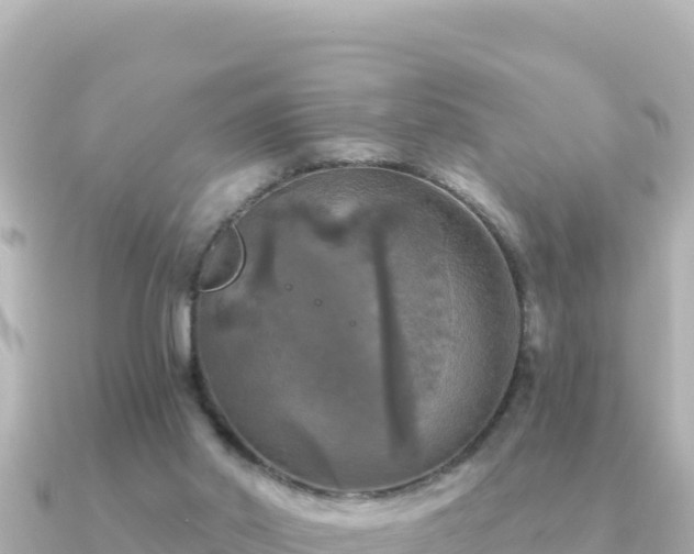 X0000091350014200708101539