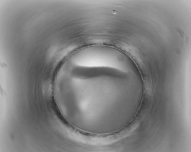 X0000091350016200708101539