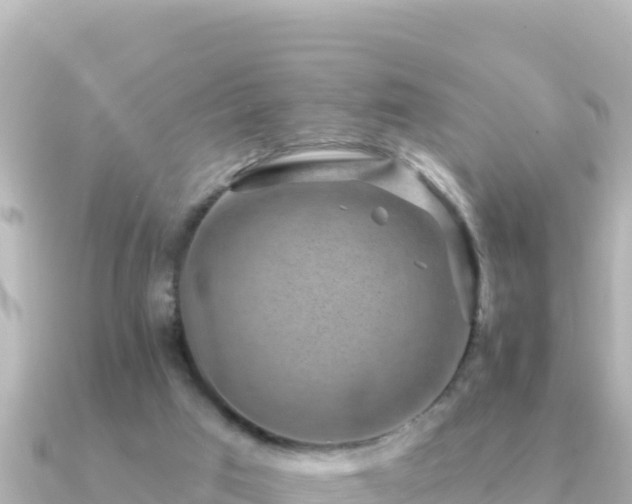 X0000091350017200708101539