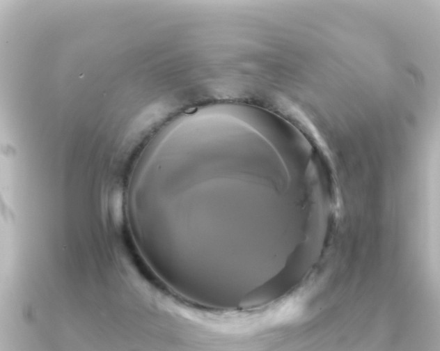 X0000091350019200708101539