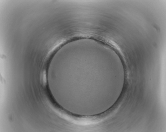 X0000091350020200708101539