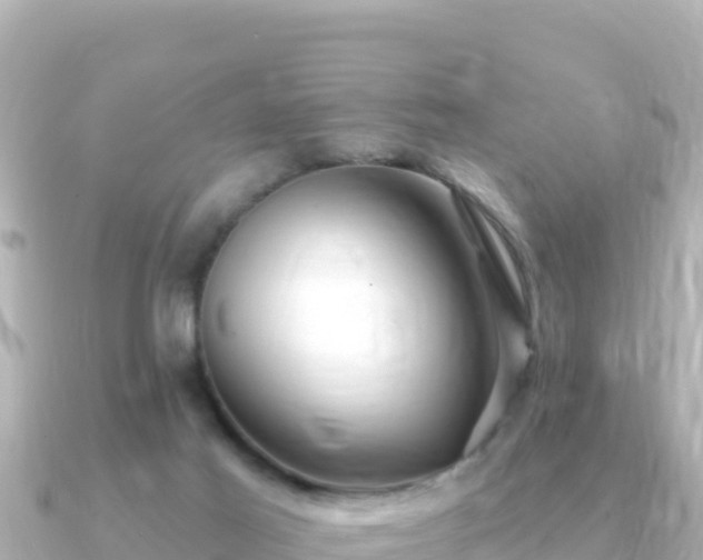 X0000091350021200708101539