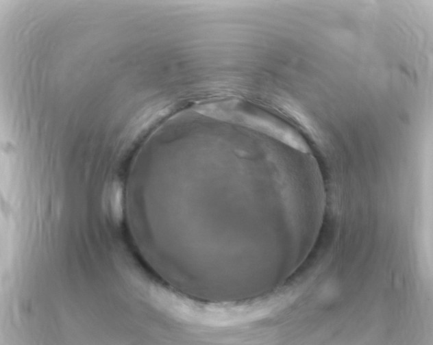 X0000091350022200708101539