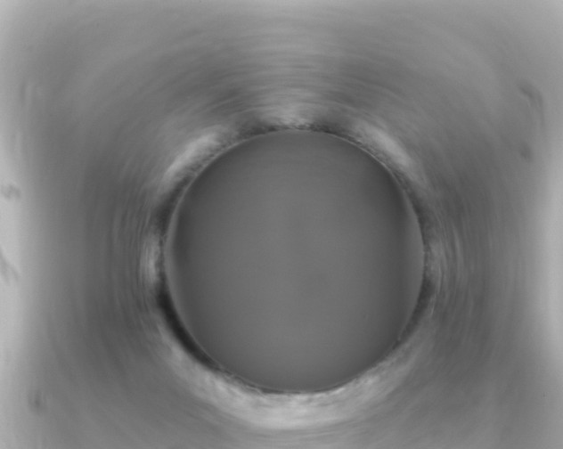 X0000091350023200708101539