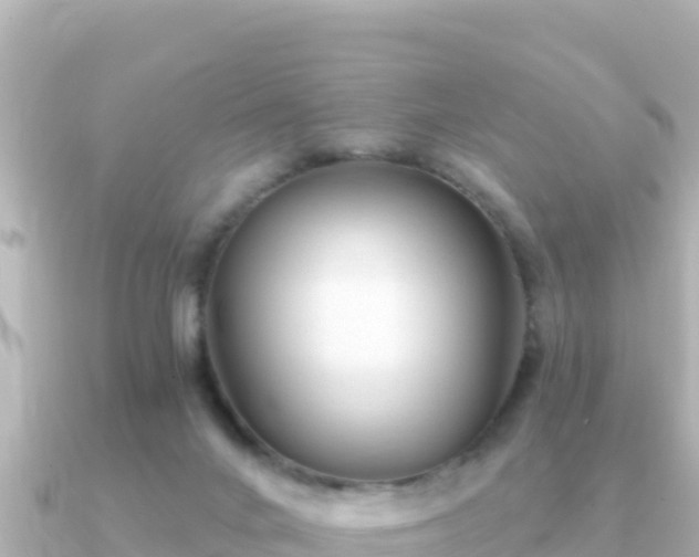 X0000091350024200708101539
