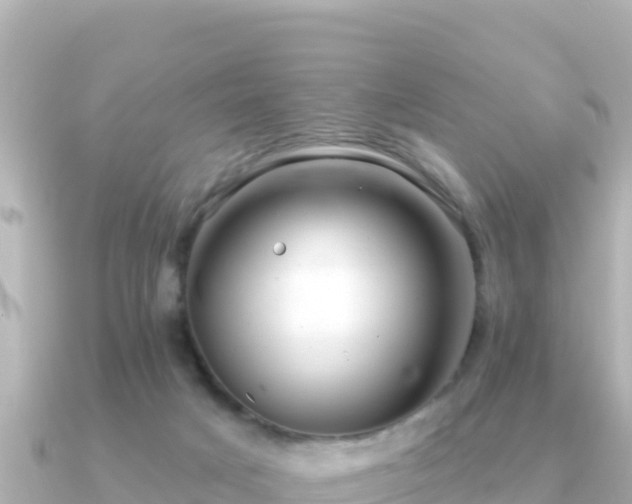 X0000091350025200708101539