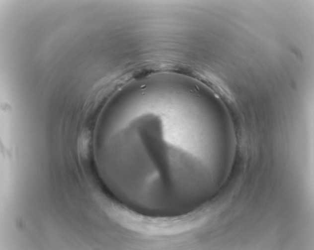 X0000091350026200708101539