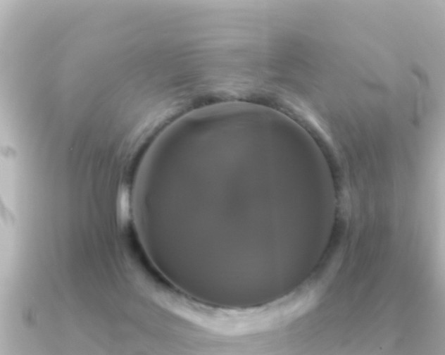 X0000091350027200708101539