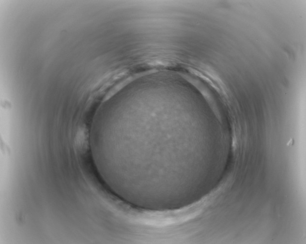 X0000091350029200708101539