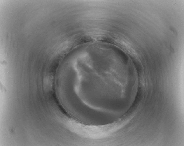 X0000091350030200708101539