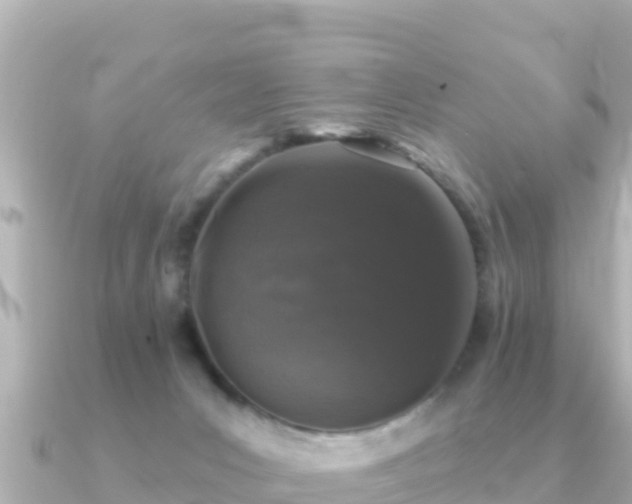 X0000091350031200708101539