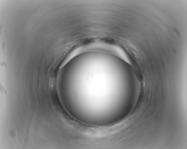 X0000091350033200708101539