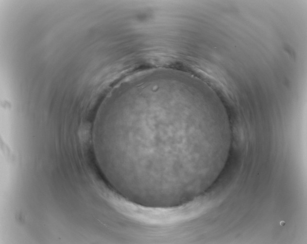 X0000091350034200708101539