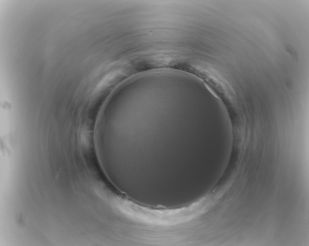 X0000091350035200708101539