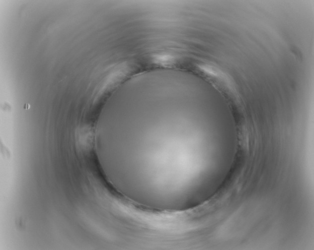 X0000091350036200708101539