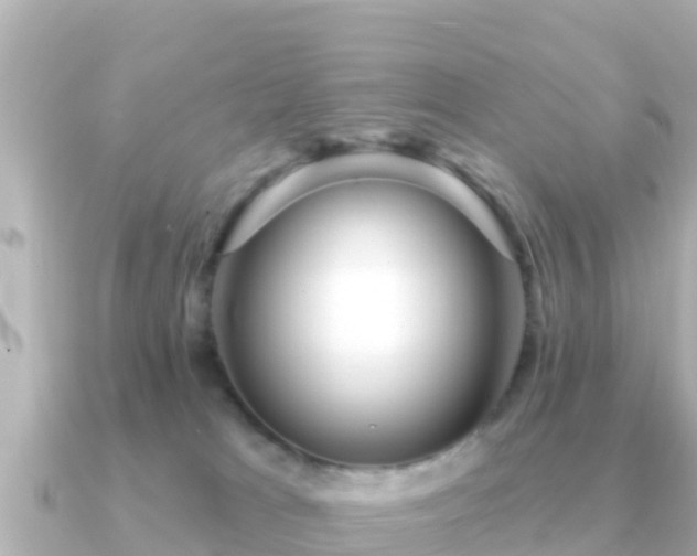 X0000091350037200708101539