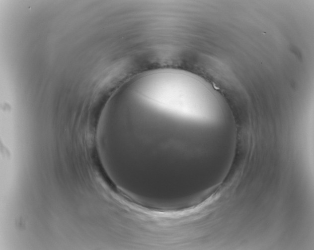 X0000091350039200708101539