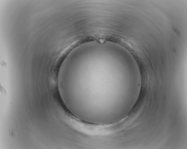 X0000091350040200708101539