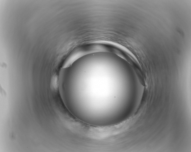 X0000091350041200708101539