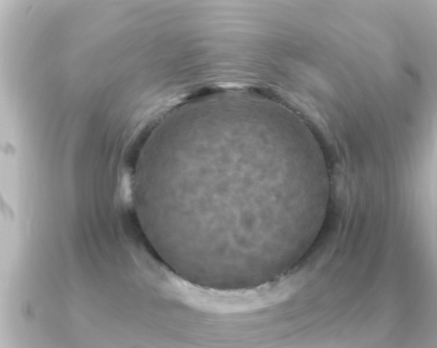 X0000091350042200708101539