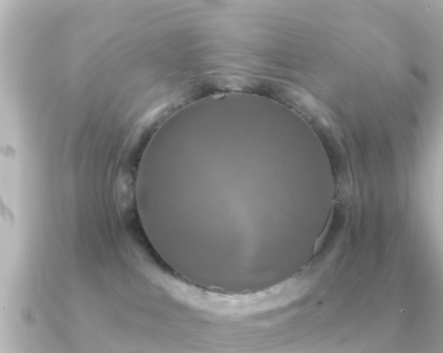 X0000091350043200708101539