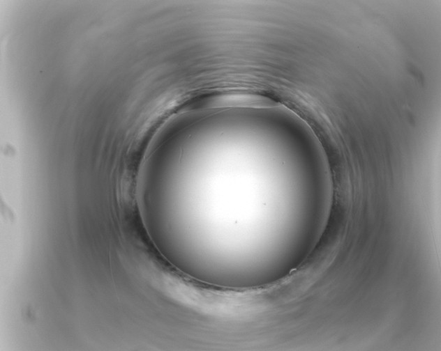 X0000091350044200708101539
