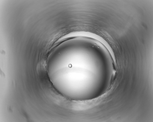 X0000091350045200708101539