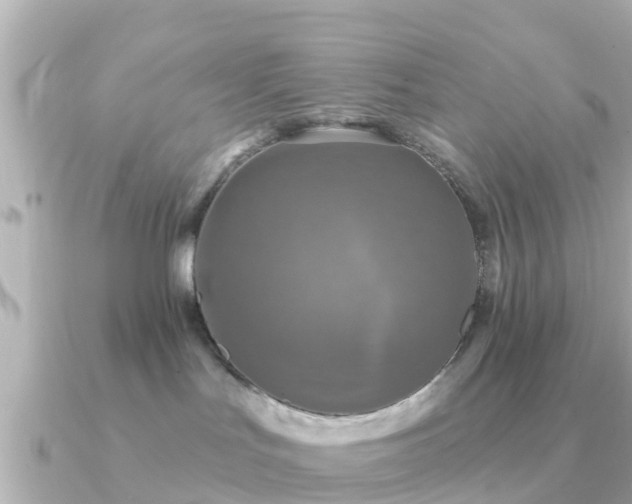 X0000091350047200708101539