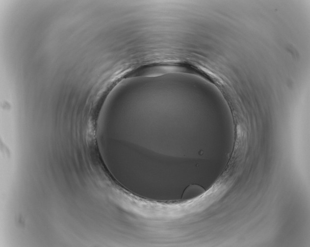X0000091350048200708101539