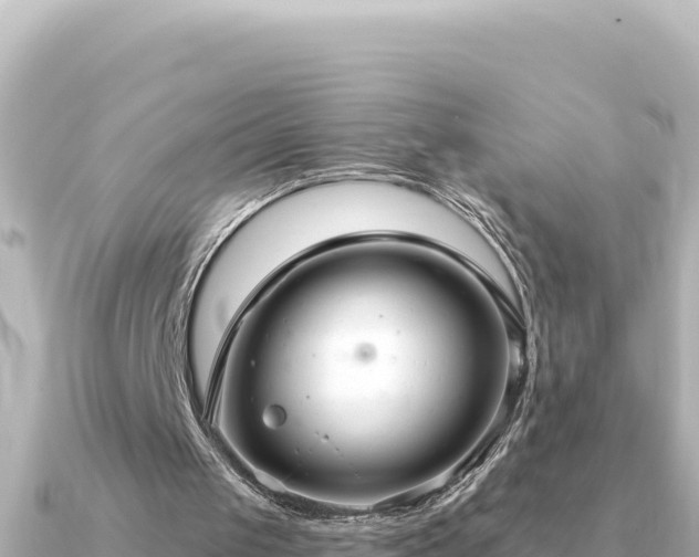 X0000091350049200708101538