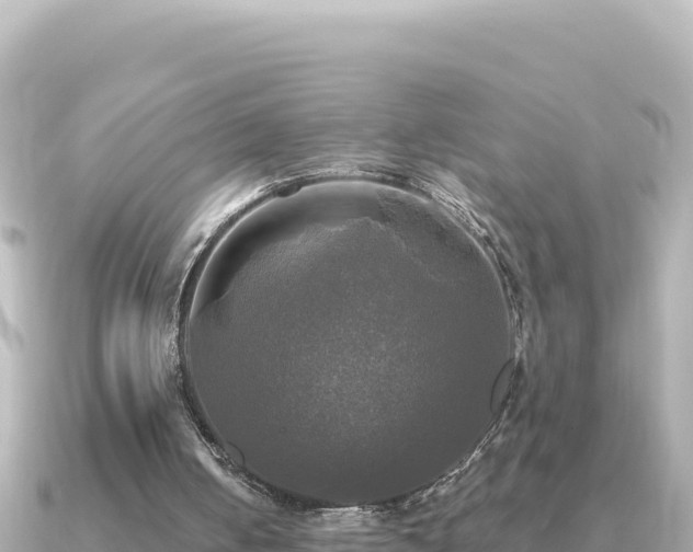 X0000091350050200708101538
