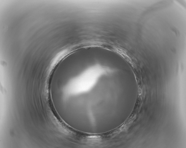 X0000091350053200708101538