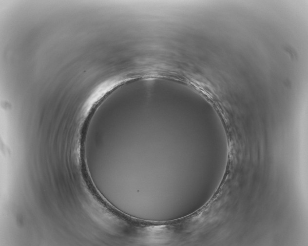 X0000091350054200708101538