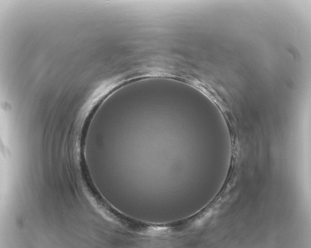X0000091350055200708101538