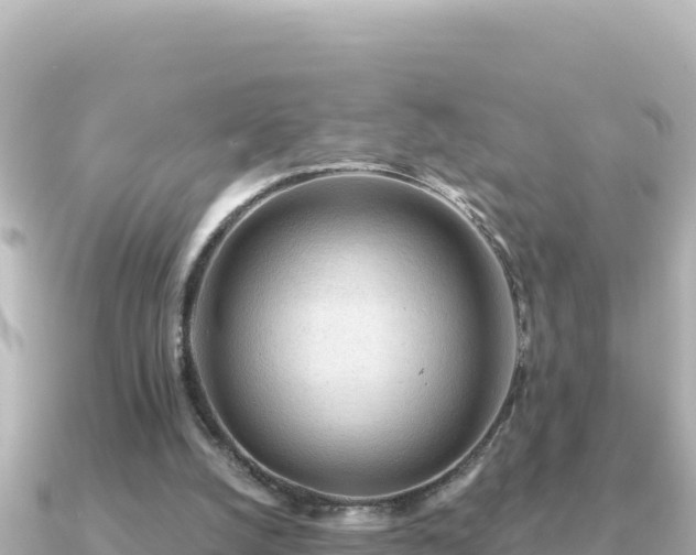 X0000091350056200708101538