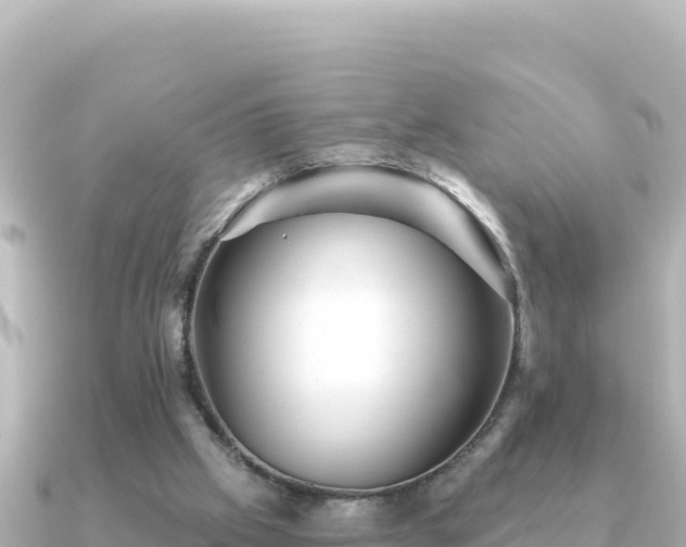 X0000091350057200708101538