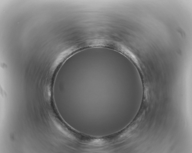 X0000091350059200708101538