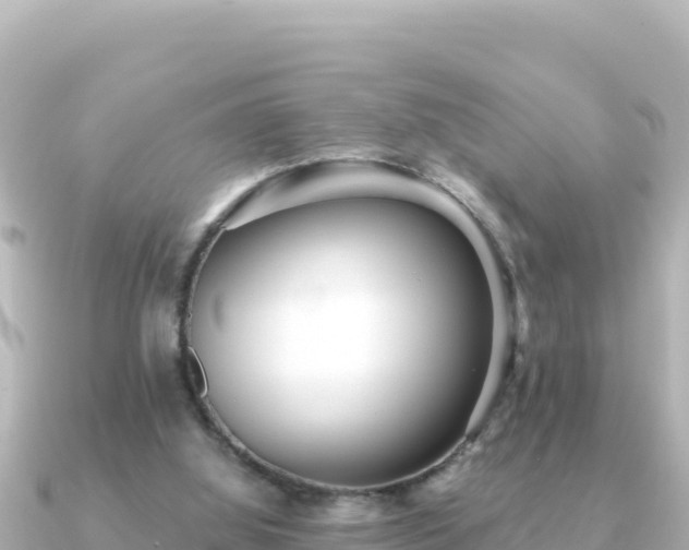 X0000091350060200708101538