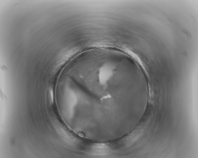 X0000091350061200708101538