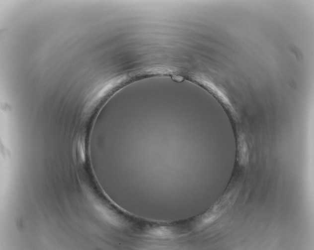X0000091350062200708101538