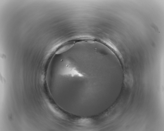 X0000091350063200708101538