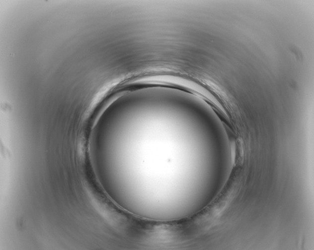 X0000091350064200708101538