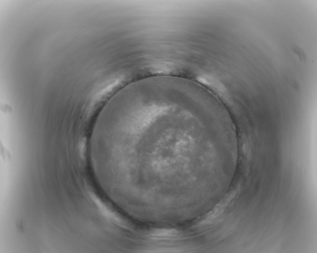 X0000091350066200708101538