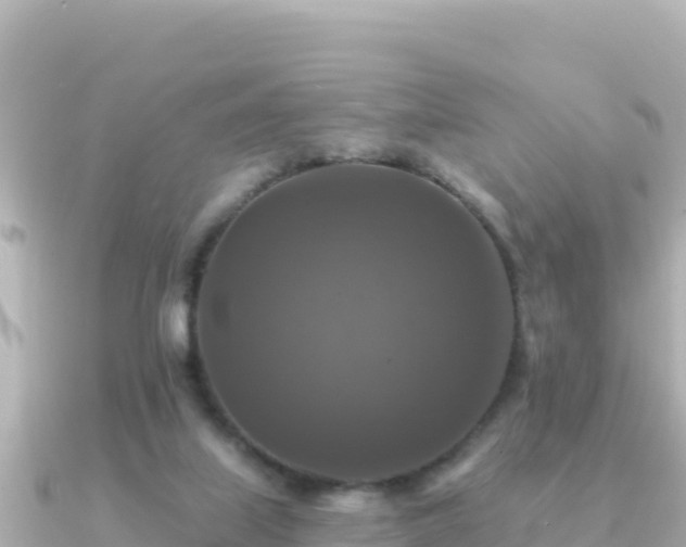 X0000091350067200708101538