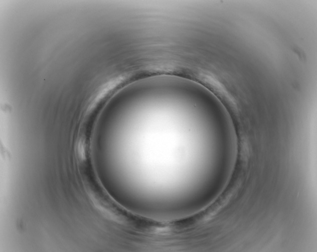 X0000091350068200708101538